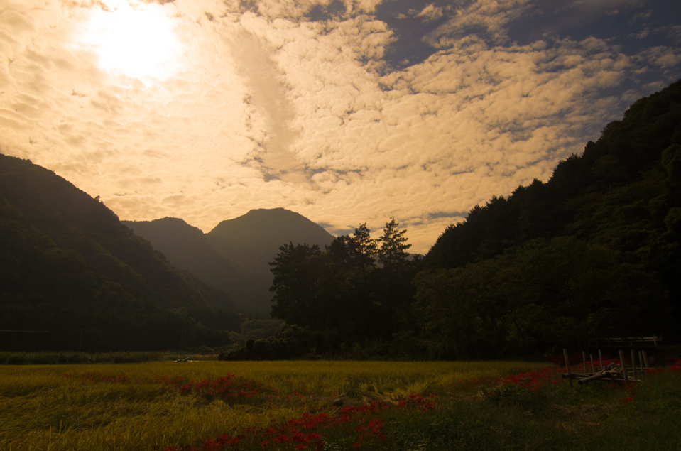 Photo 伊豆高原　池　夕景