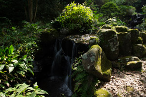 伊豆半島東伊豆の伊東市松原の丸山公園の清流