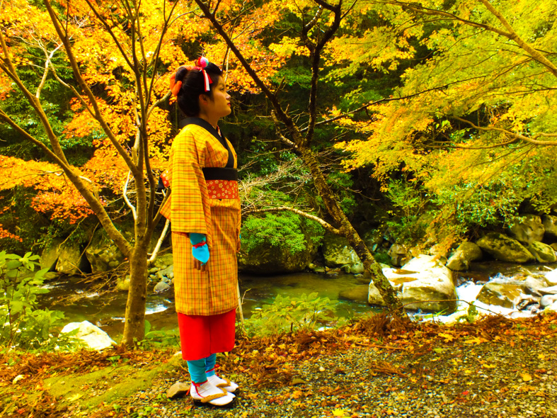 伊豆半島東伊豆の賀茂郡河津町河津七滝の伊豆の踊子と紅葉