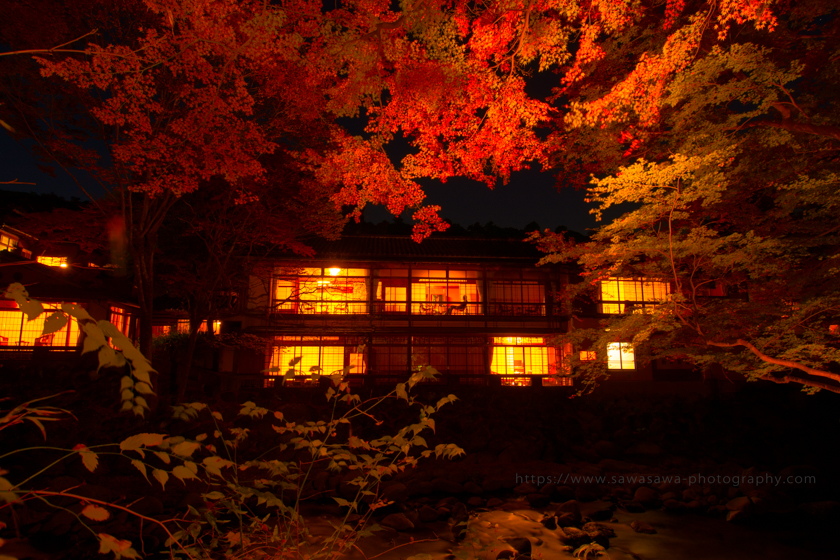 伊豆半島中伊豆の伊豆市修善寺温泉の紅葉の夜景